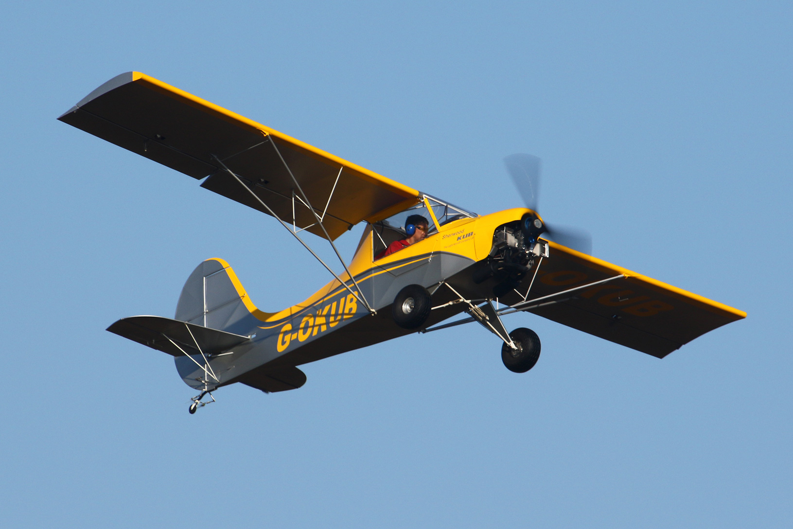 TLAC takes on Ikarus C42 microlight sales in Ireland - Pilot