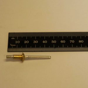 Rivet Magna Bulb