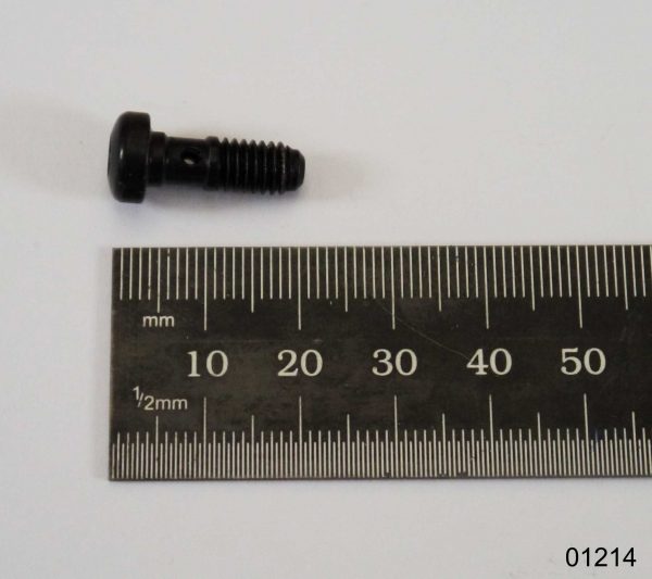 Banjo Bolt (Magura Brake Calliper)