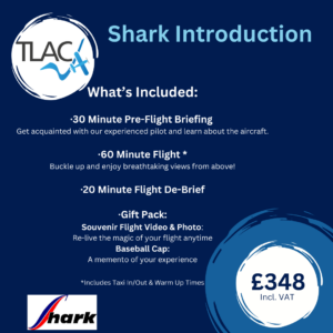 Shark Introduction